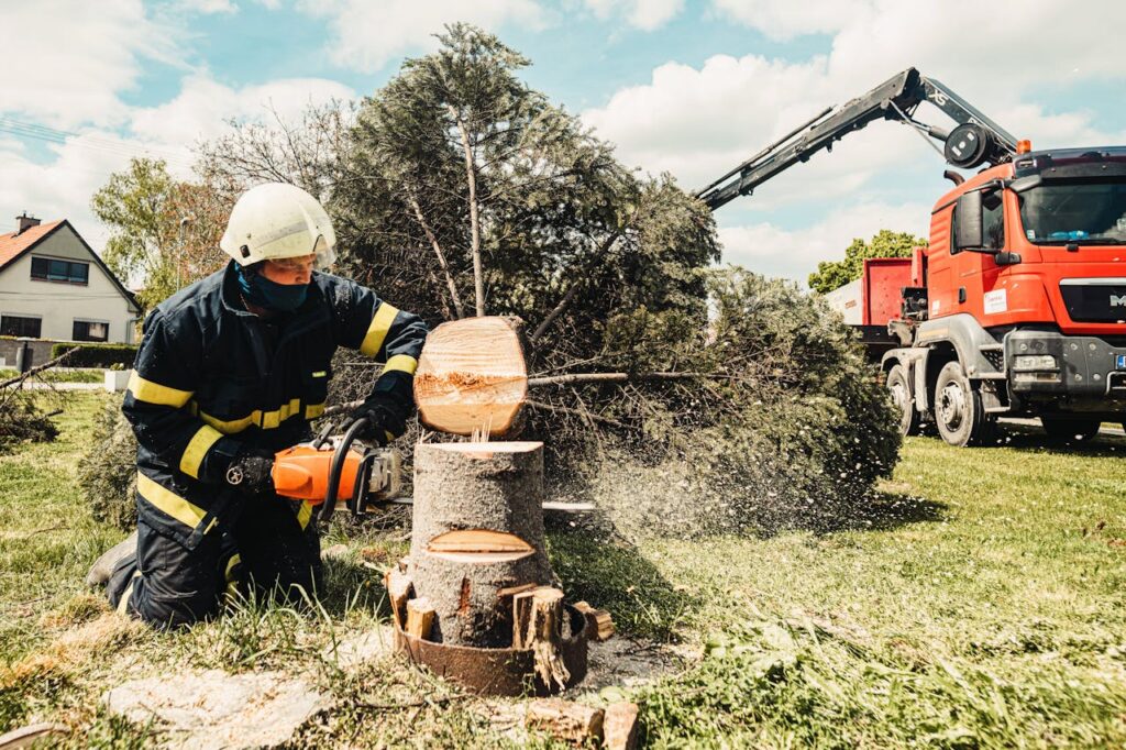 A Man Cutting a Tree With a Chainsaw